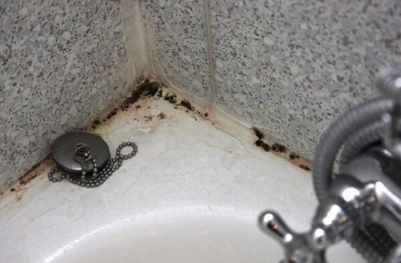 Как лучше избавиться от грибка в ванной комнате