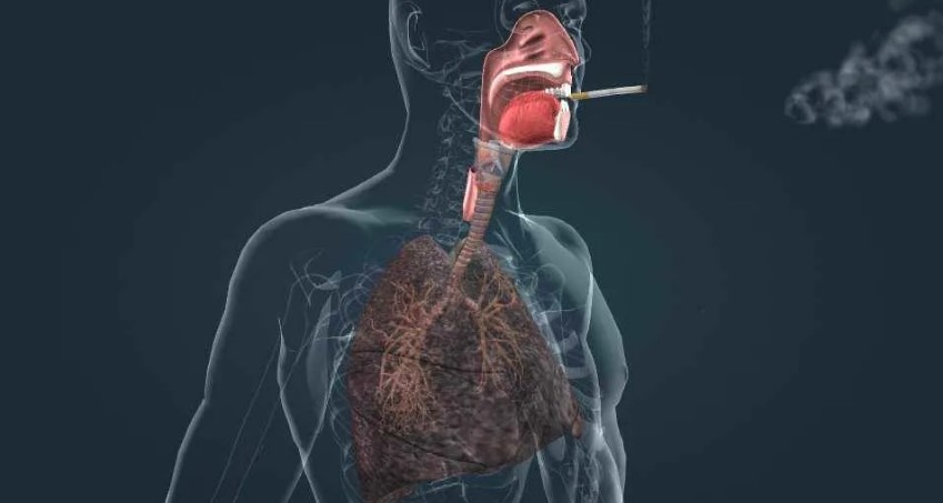 Как влияет пассивное курение на организм человека
