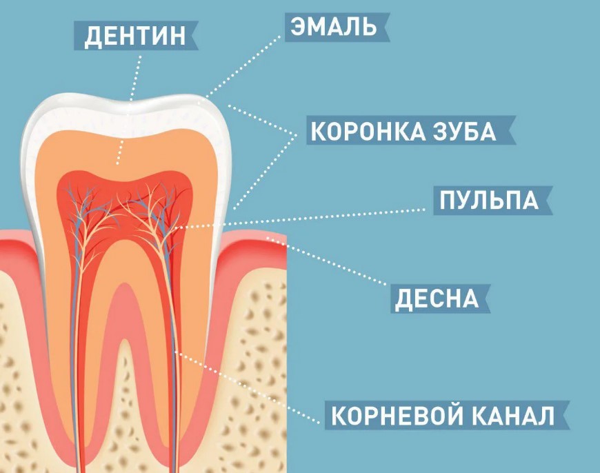 Почему болят зубы от сладкого