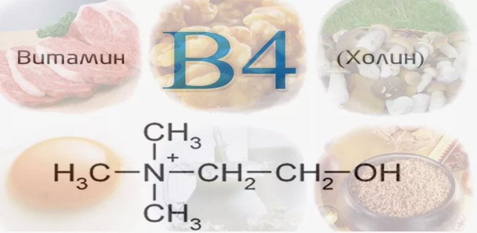 Для чего нужен холин для организма