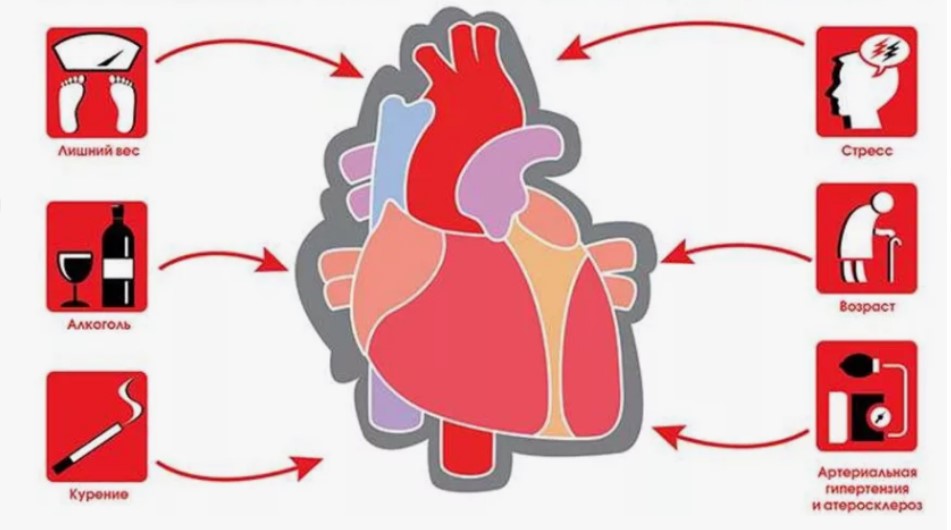 Что такое сердечно-сосудистое заболевание