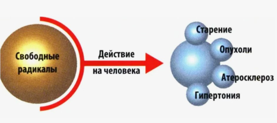 Как прожить до 100 лет без врачей
