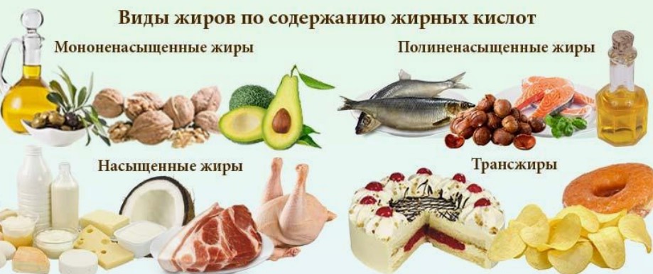 Для чего нужно употреблять жиры