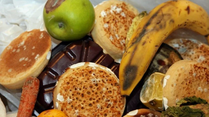 Как не отравиться при выборе продуктов в магазине