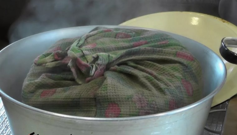 Как вырастить рассаду правильно