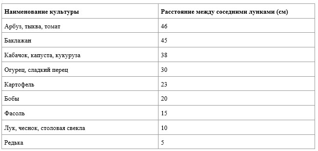 Небывалый урожай при при минимальном уходе